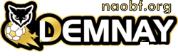 logo demnaylive